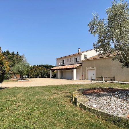 Studio 40M2 Avec Terrasse Le Mas De Lauriane Saintes-Maries-de-la-Mer Eksteriør billede