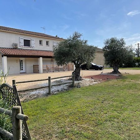 Studio 40M2 Avec Terrasse Le Mas De Lauriane Saintes-Maries-de-la-Mer Eksteriør billede