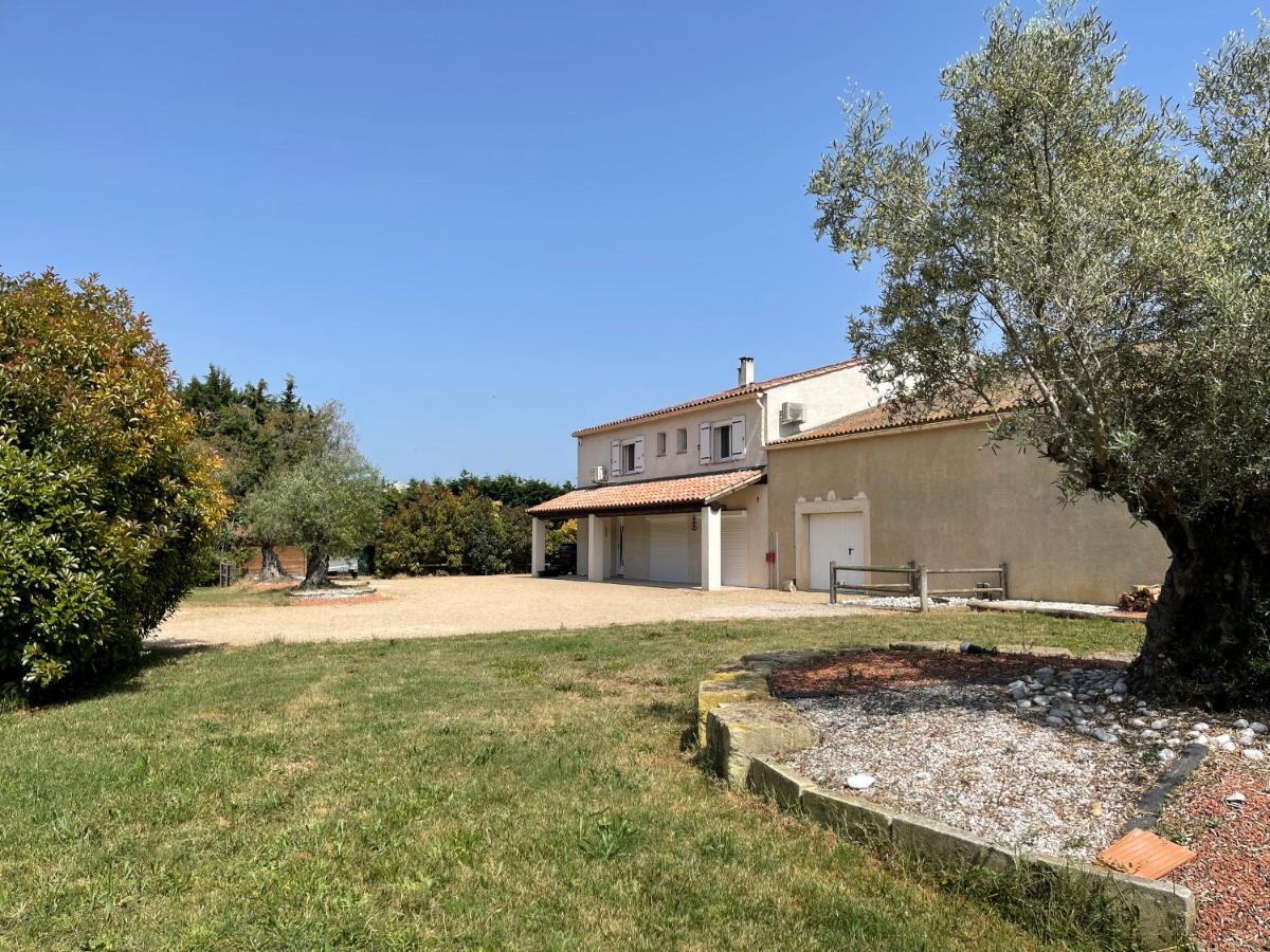 Studio 40M2 Avec Terrasse Le Mas De Lauriane Saintes-Maries-de-la-Mer Eksteriør billede