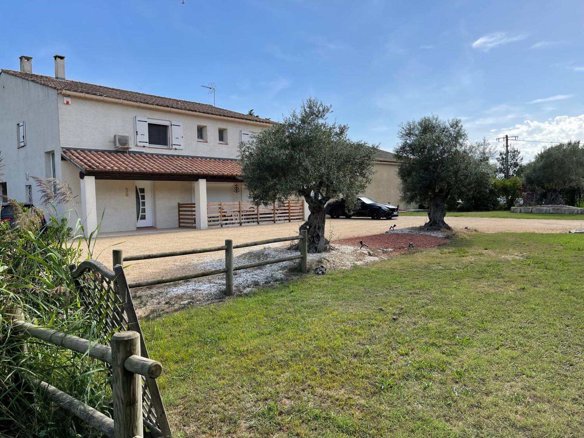 Studio 40M2 Avec Terrasse Le Mas De Lauriane Saintes-Maries-de-la-Mer Eksteriør billede